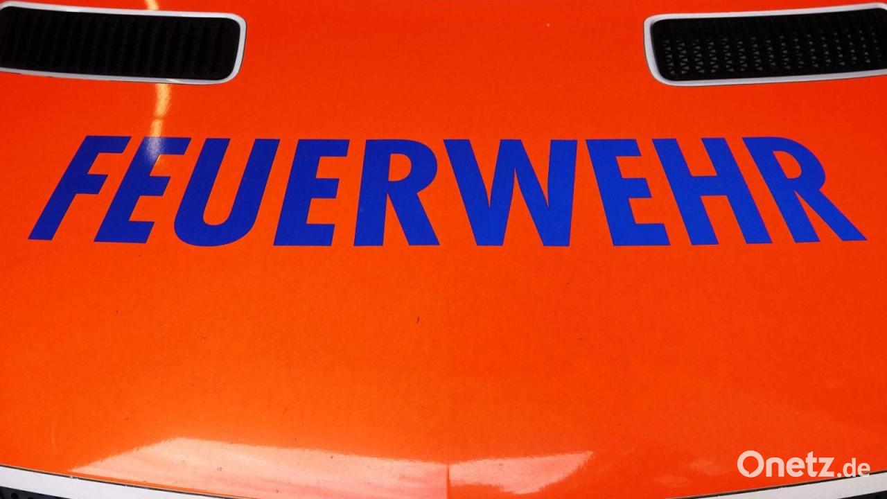 Geselliger Chinchilla wird Fall für die Feuerwehr
