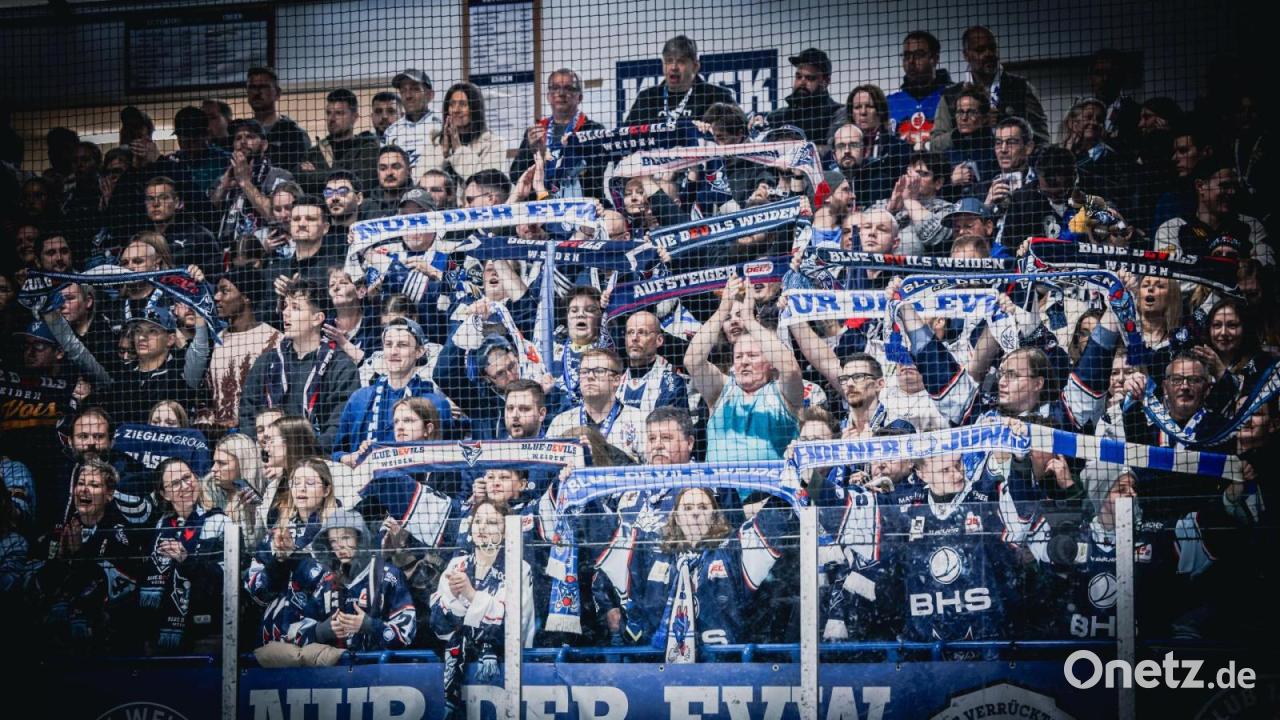 Devils-Newsblog-Alle-Infos-rund-um-die-Blue-Devils-Weiden
