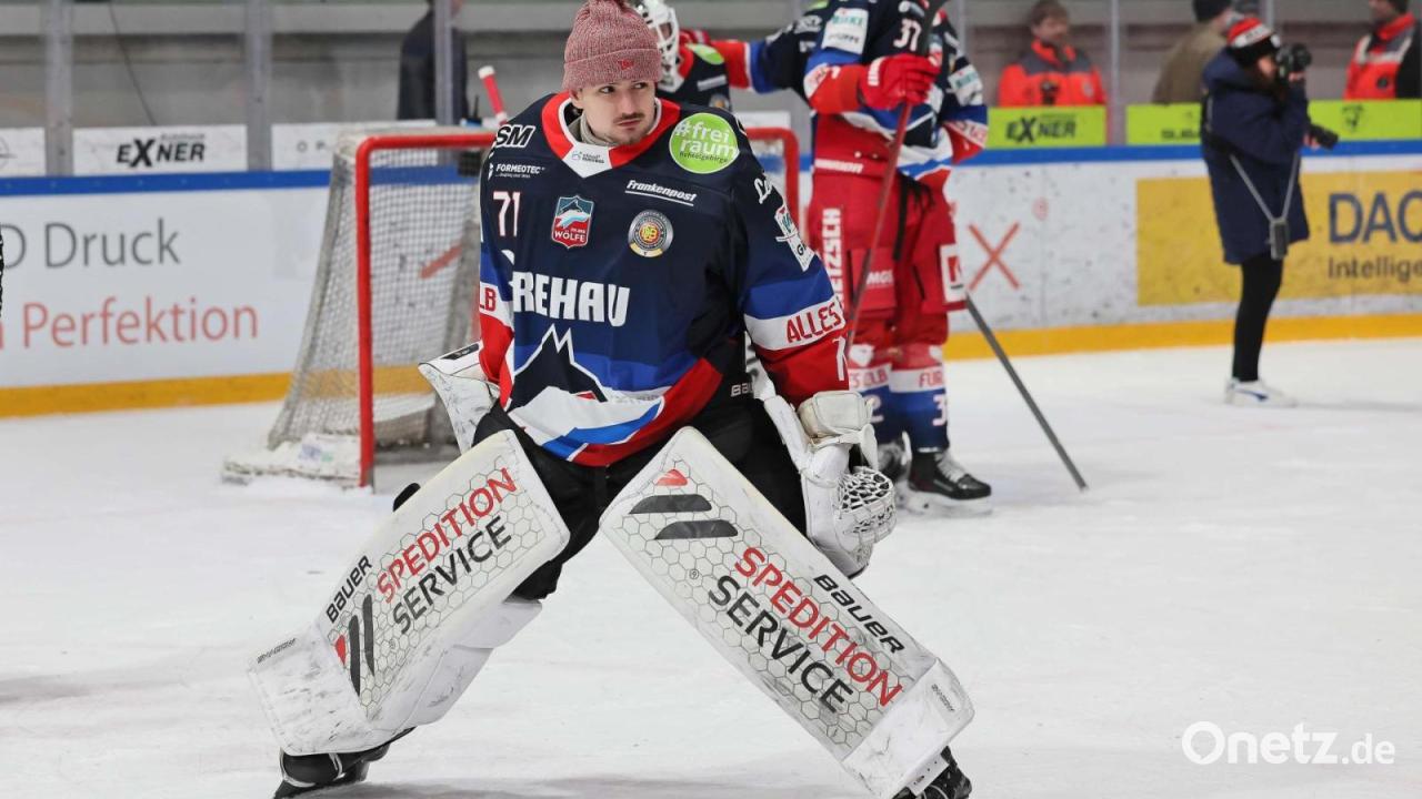 Selber-W-lfe-und-Wild-Lions-setzen-Kooperation-fort