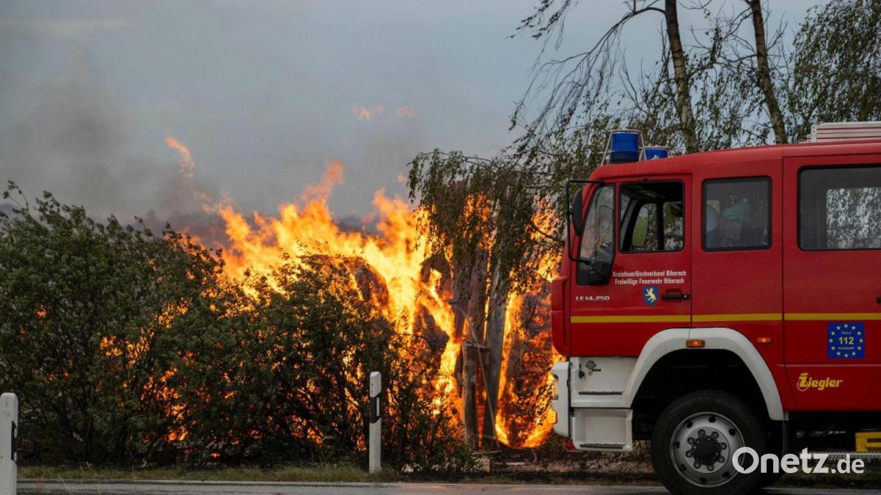 Millionenschaden nach Riesenbrand im Holzwerk