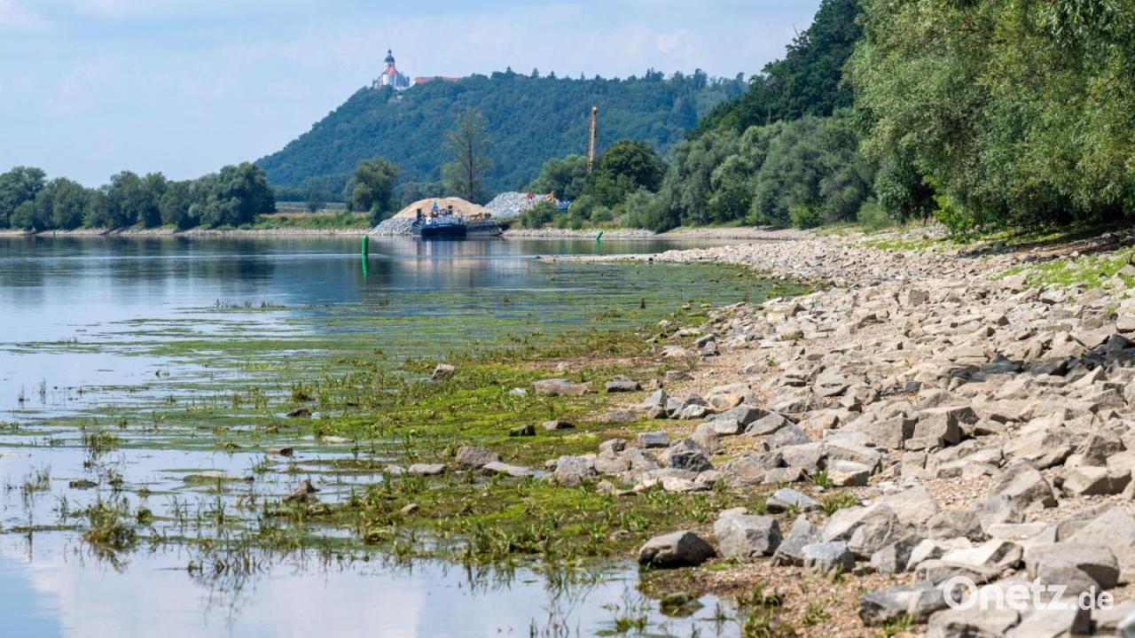Niedrigwasser bremst Güter- und Ausflugsschiffe aus