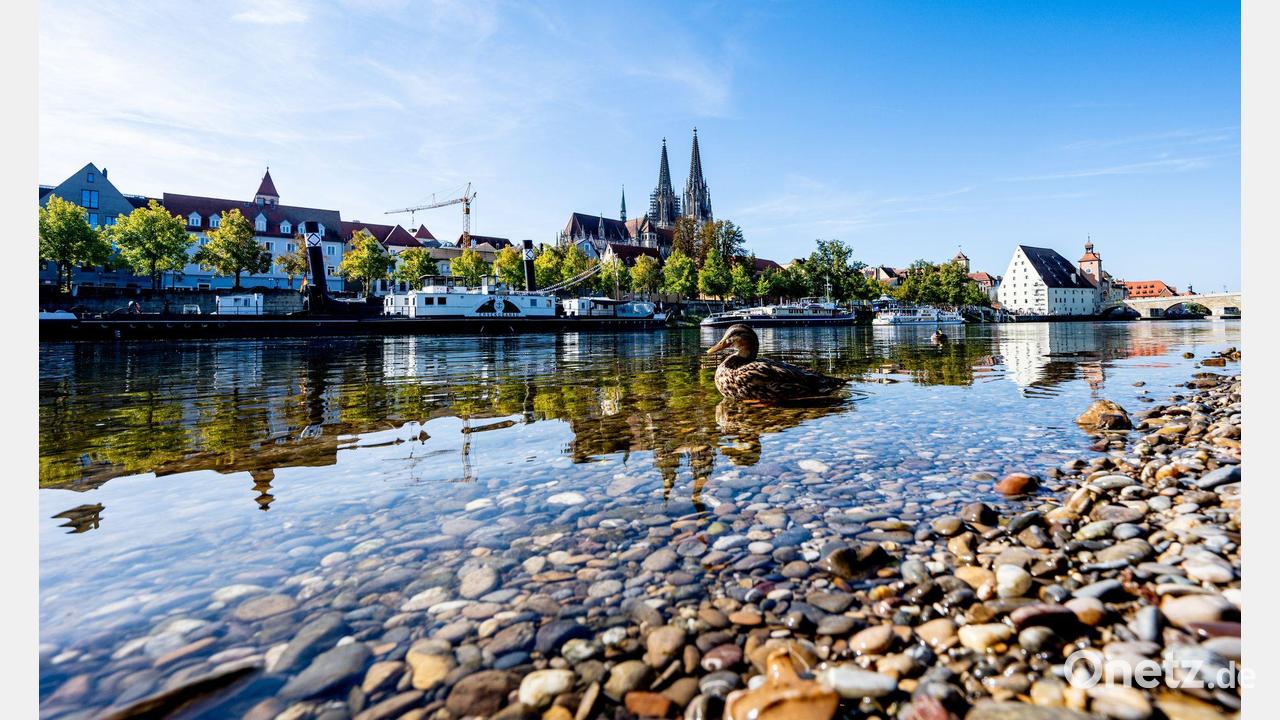 Keine Blaualgen in Donau nach neuen Tests festgestellt