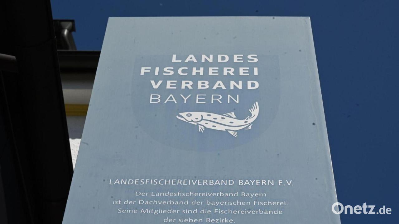 Showdown im Fischereiverband