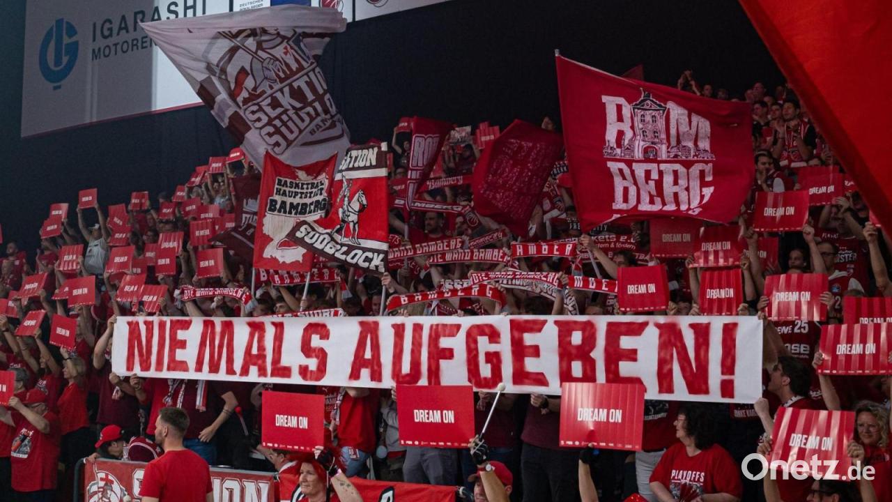 Letzter Neuzugang: Bamberg holt Basketballprofi Ward