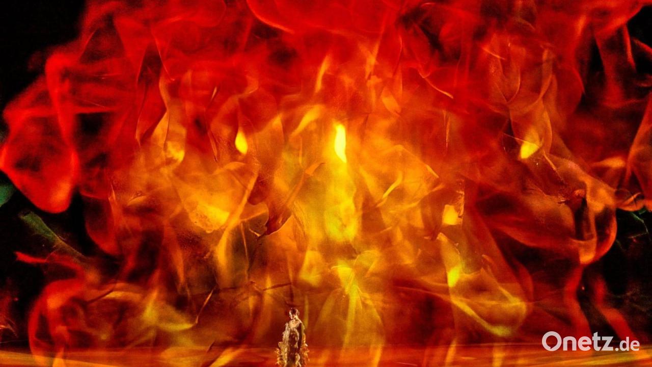 Bayreuther KI-„Ring“: Walkürenritt über die Schafsweide