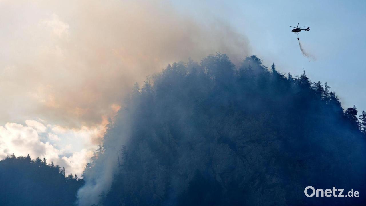 Luftbeobachter sollen weitere Waldbrände verhindern