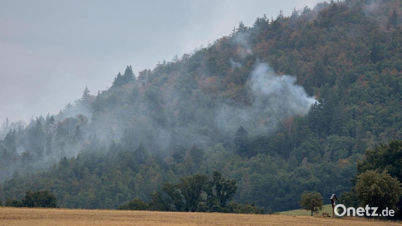 Feuerwehren kämpfen gegen Waldbrände in Bayern
