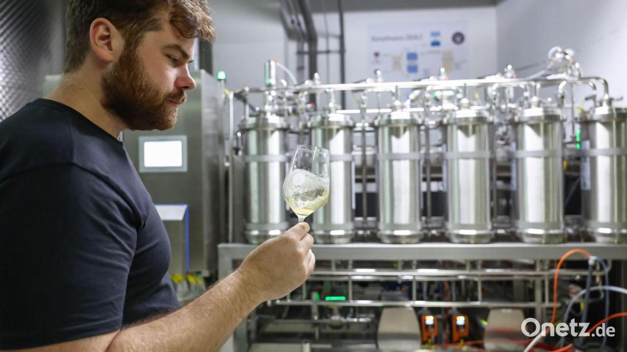 Alkoholfrei durch den Sommer - Wandel im Winzerland