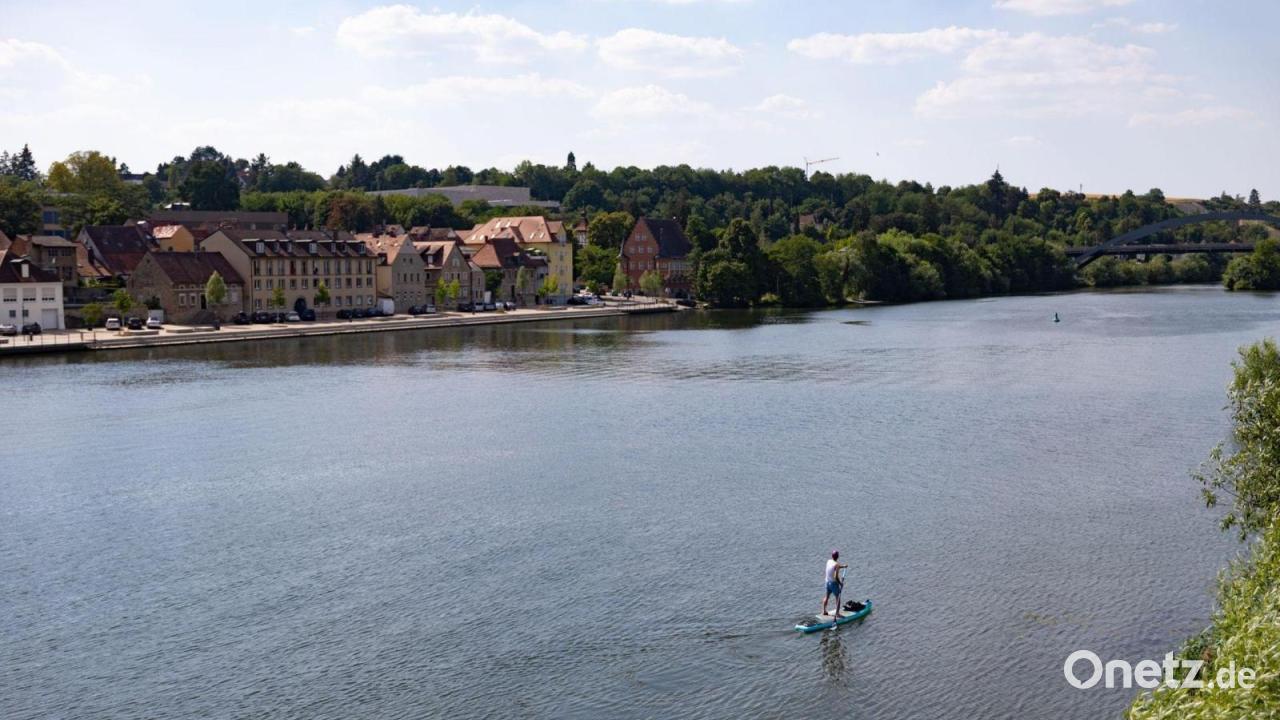 Flusswasser zu warm - was den Tieren zusätzlich schadet