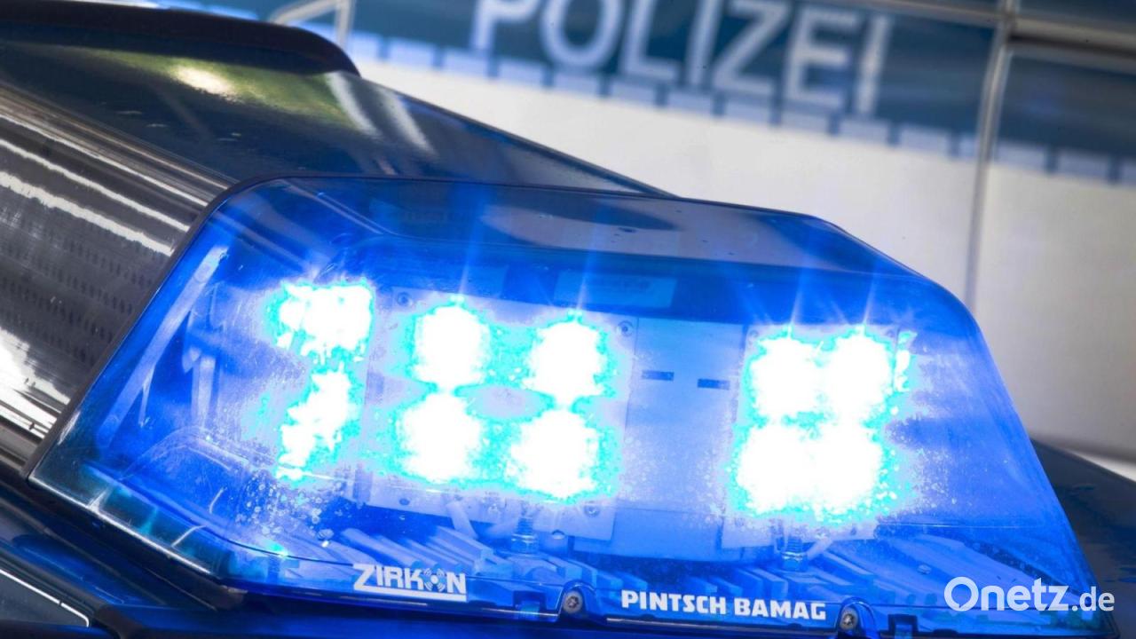 Autofahrer rast der Polizei davon - bis an einen Baum
