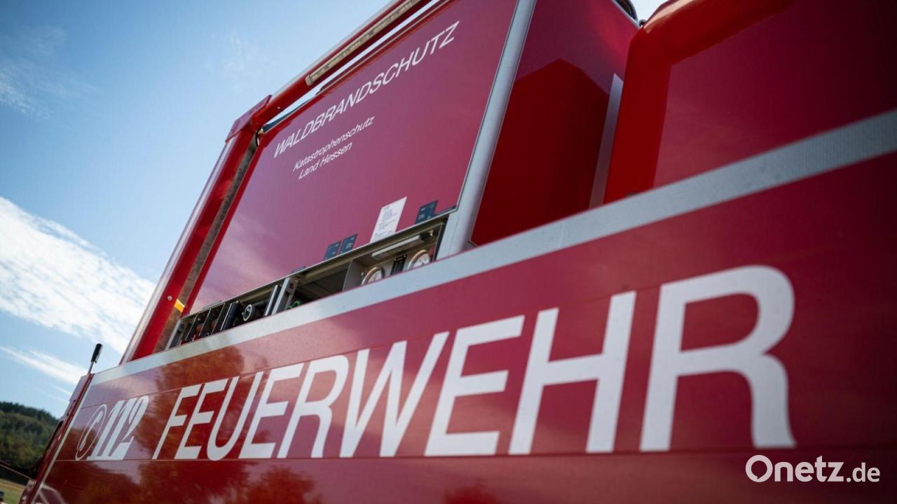 Wald bei Rodenbach in Hessen brennt: Rauch zieht nach Bayern