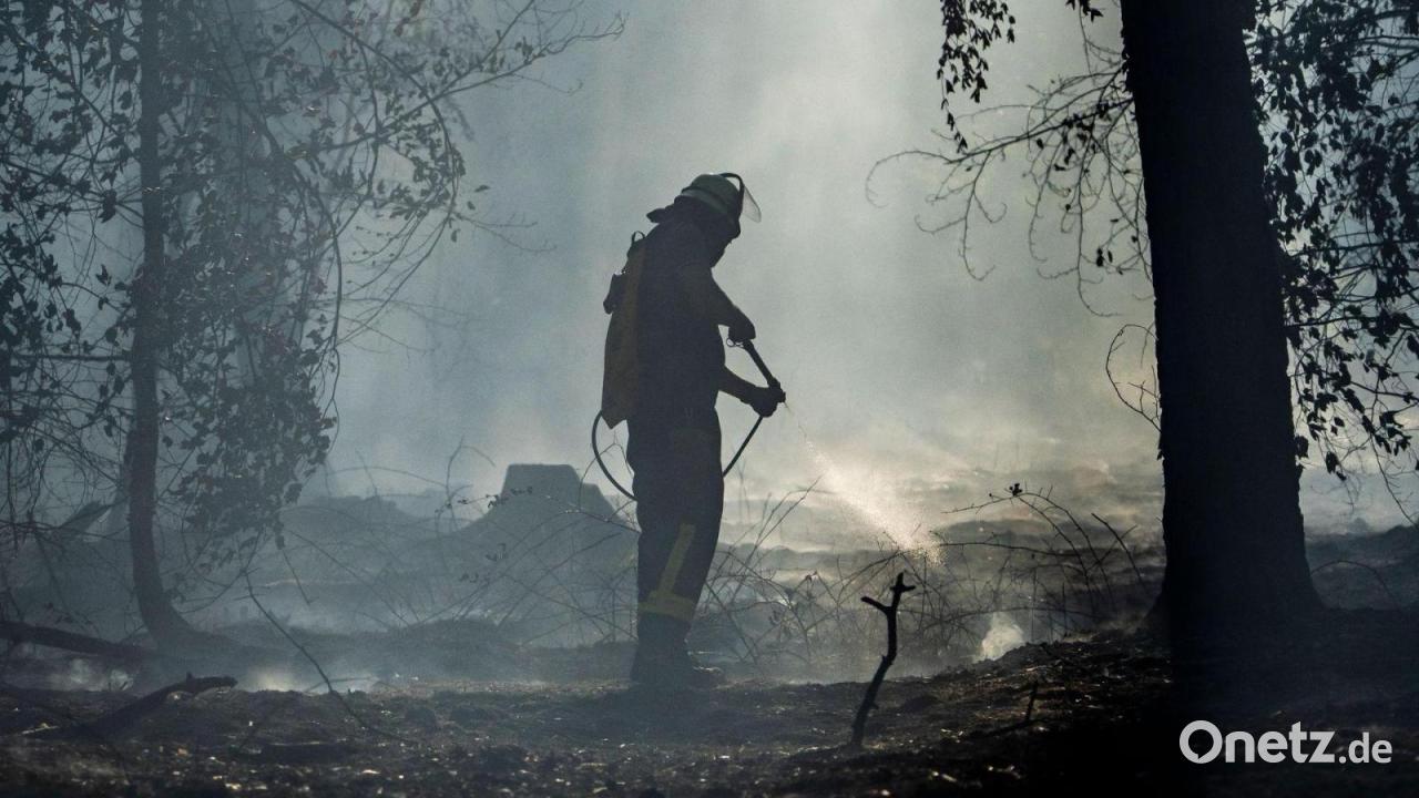Waldbrand in Hessen an Bayerns Grenze - 30.000 Quadratmeter