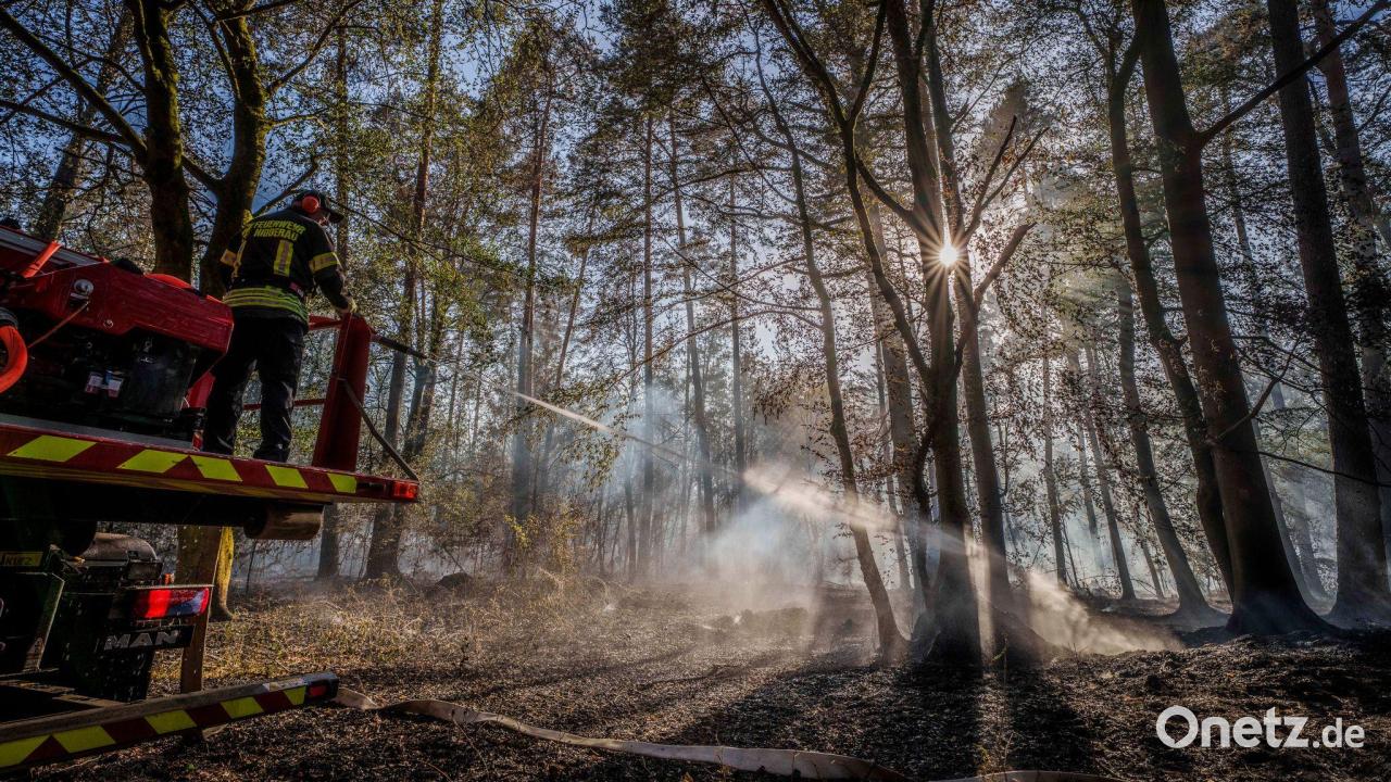 Waldbrand: Bürger sollen möglichst nicht duschen oder baden