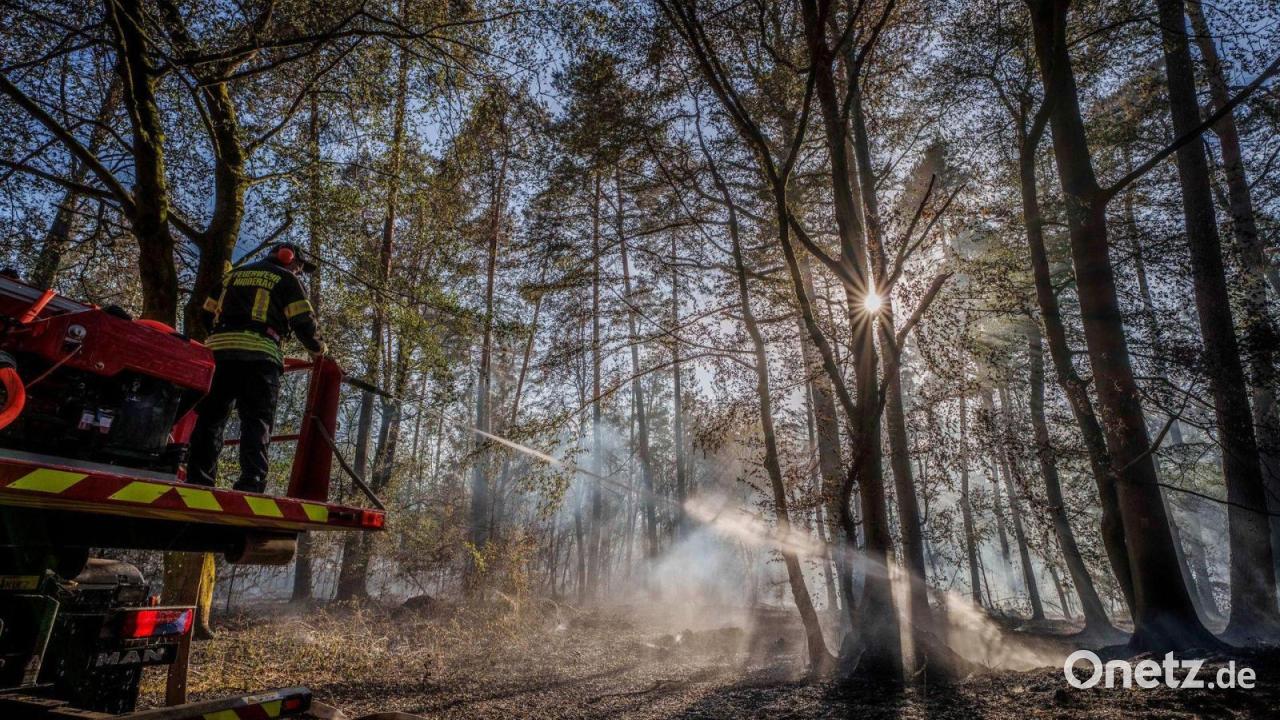 Wie kommt das Löschwasser in den Wald?