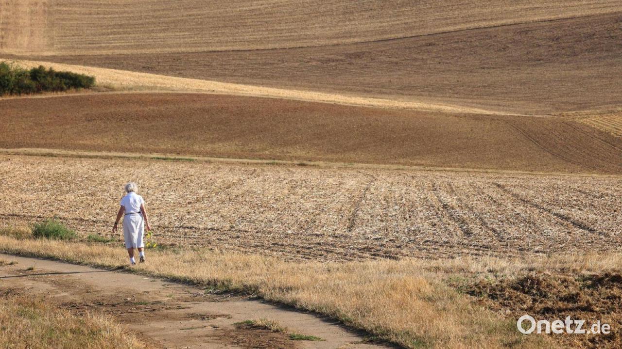 Hirse bis Erdnuss: Neue Hoffnung für Bayerns Landwirtschaft