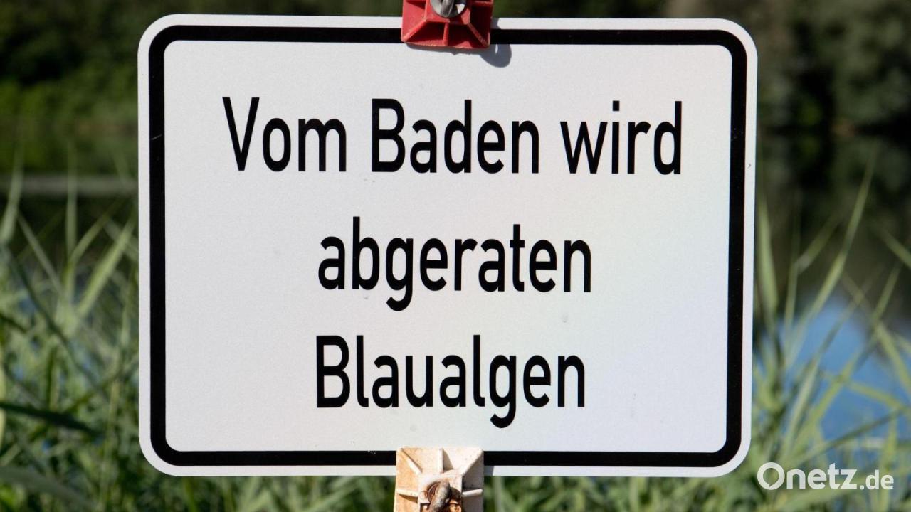 Badewarnung wegen Blaualgen in Baggersee in Oberfranken