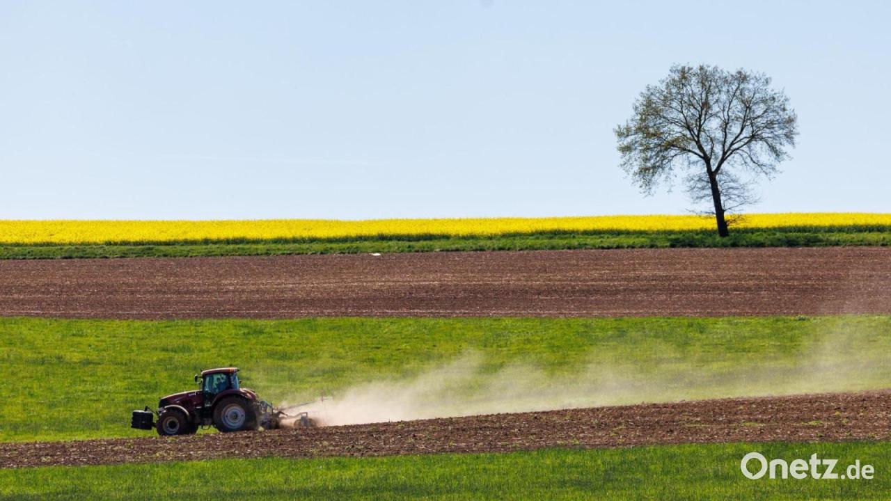 Landwirt kommt bei Feldarbeiten ums Leben