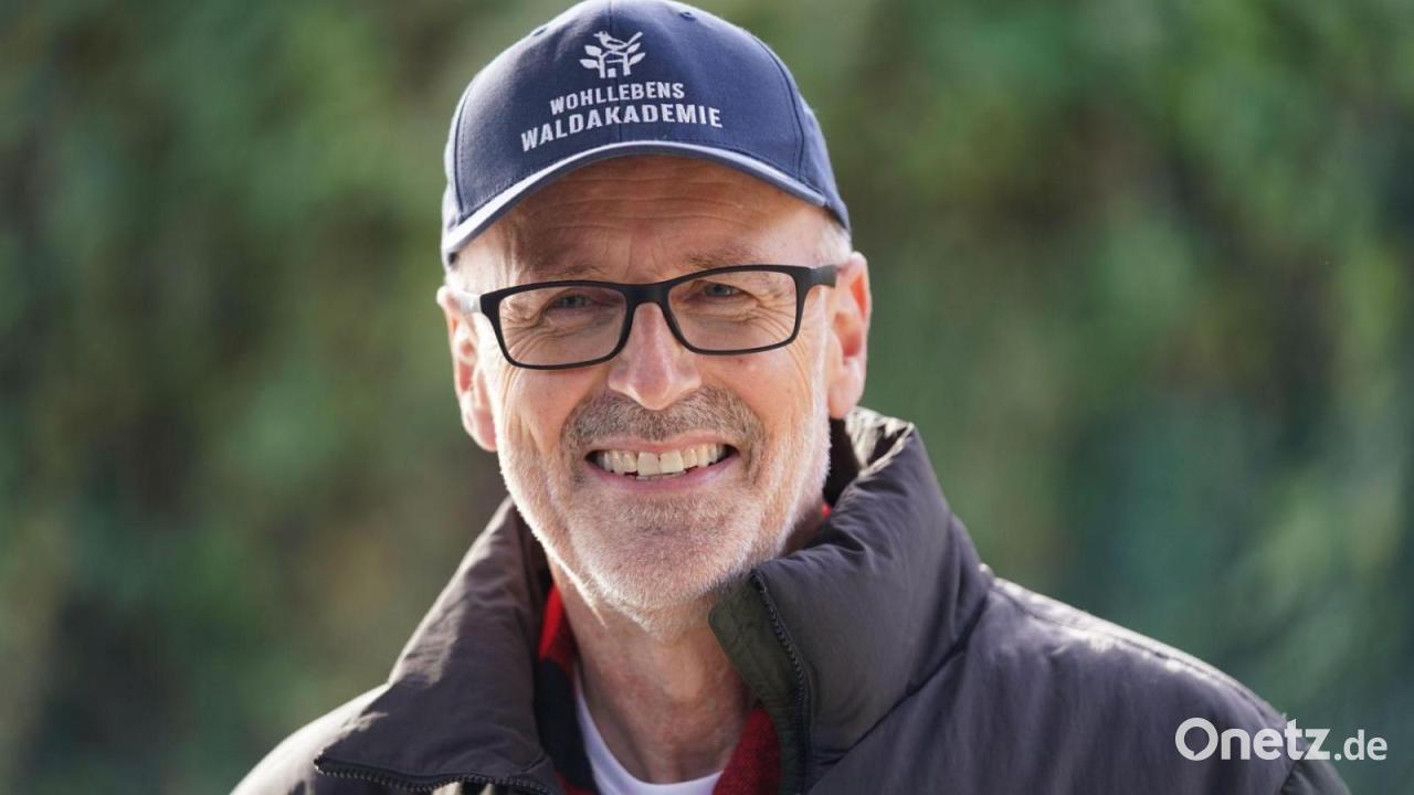 Förster Wohlleben rät: „Die Natur einfach machen lassen“