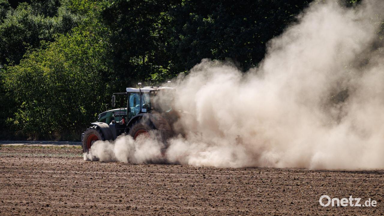Bauernverband fordert halbe Milliarde und mehr für Landwirte