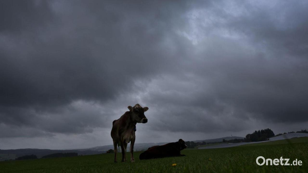 Der Sommer macht Pause - kommt aber zurück