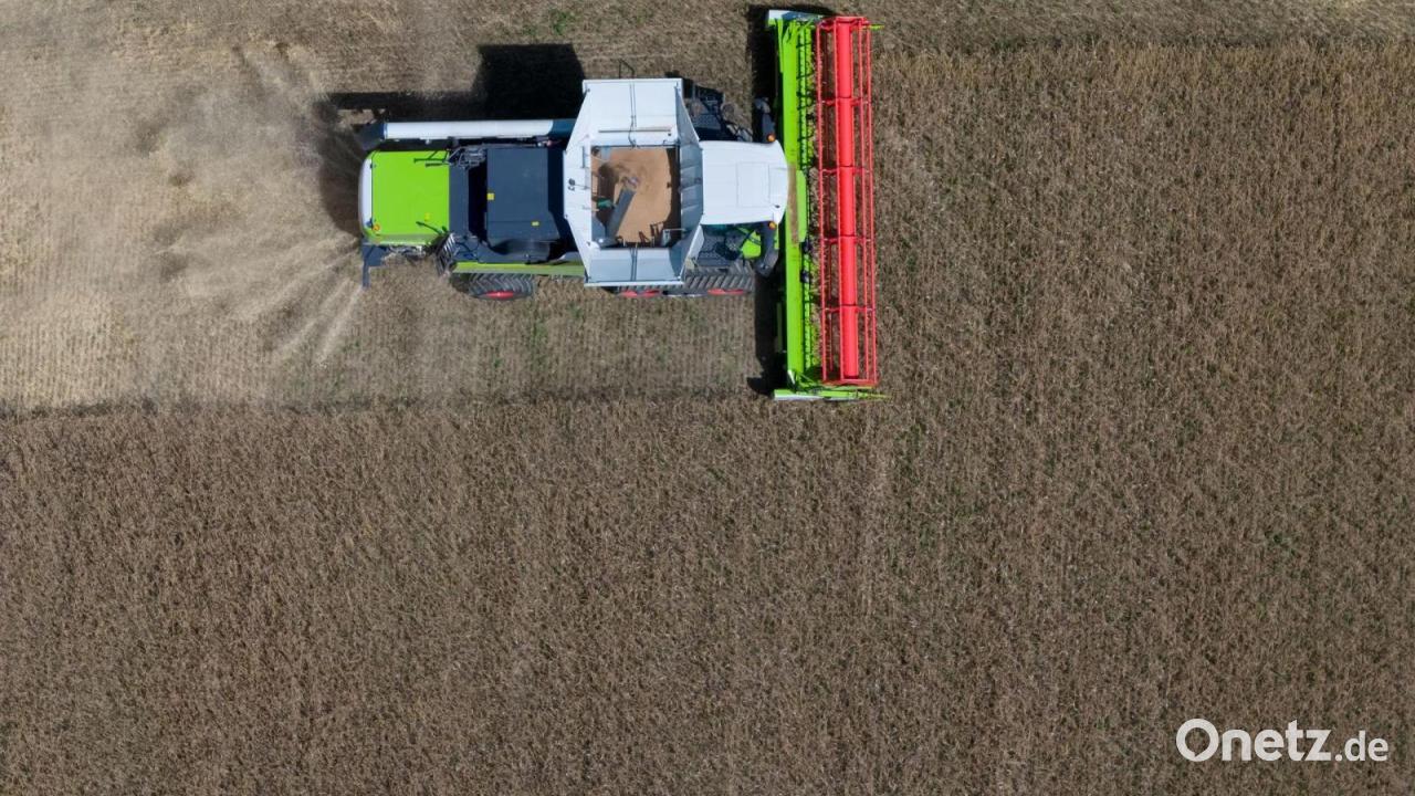 Trockenheit beschert Bauern schlechte Getreideernte