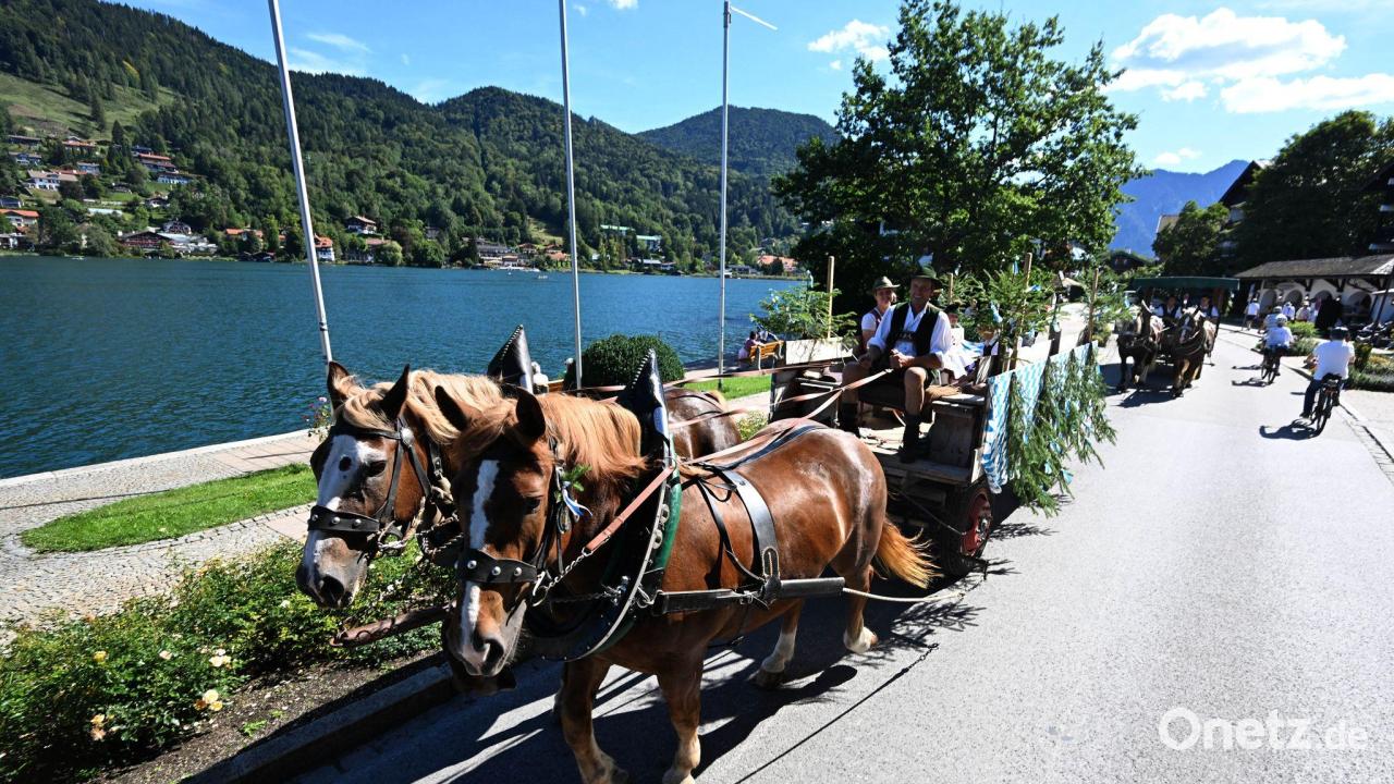 Das war beim Rosstag am Tegernsee geboten