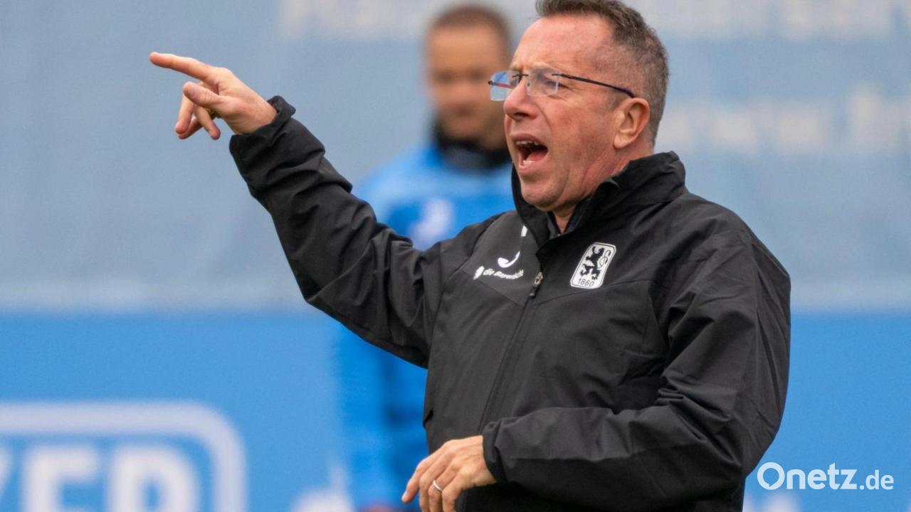 Kauczinski wird Cheftrainer in Sandhausen