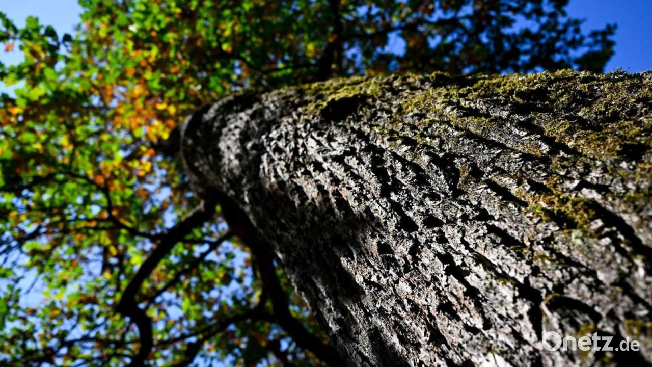 Milder Herbsttag mit Sonne