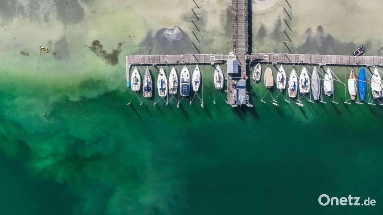 Niedriger Pegelstand setzt Bodensee zu