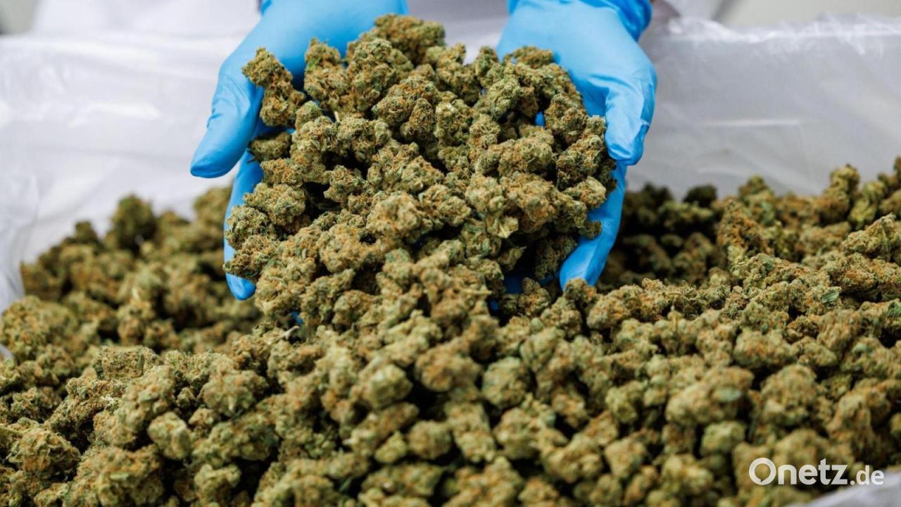 Linnemann dringt auf strengere Regeln für Medizin-Cannabis