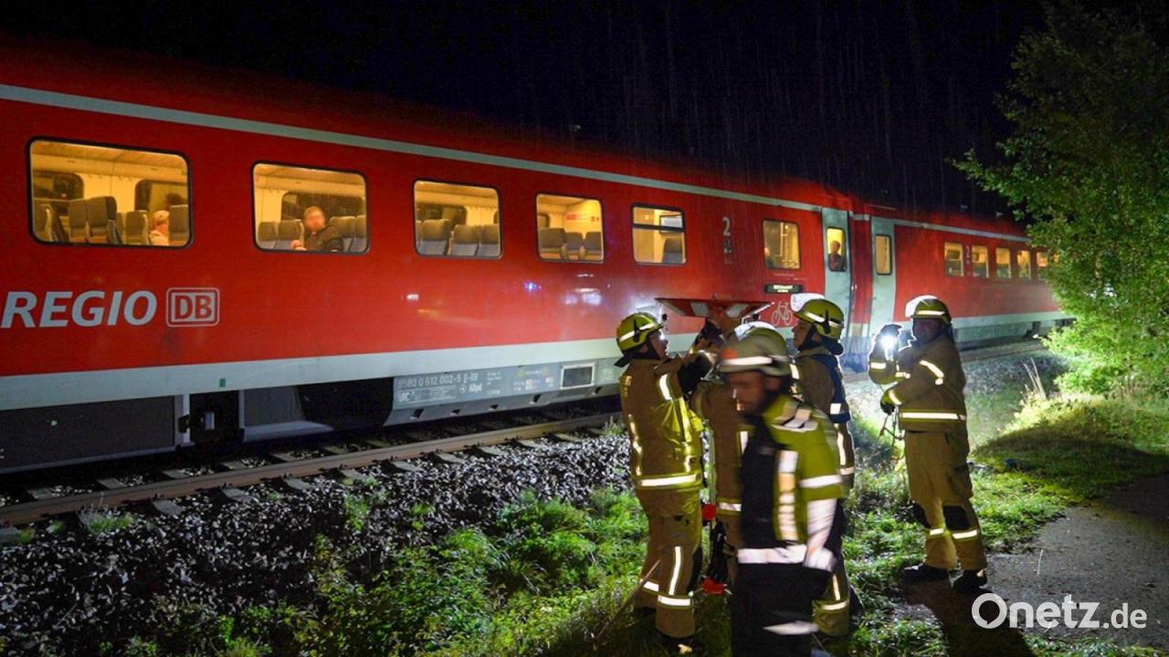 Zug rammt umgestürzten Baum - keine Fahrgäste verletzt