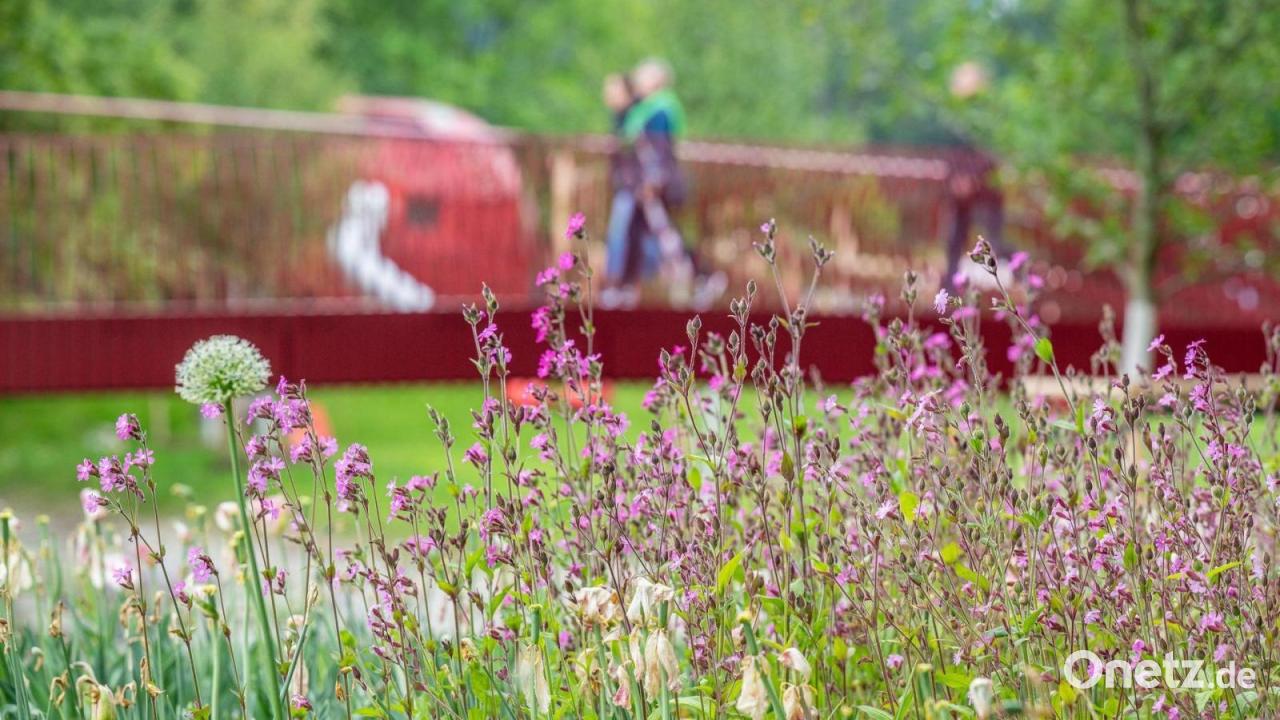 Ist die Landesgartenschau ein Ladenhüter?