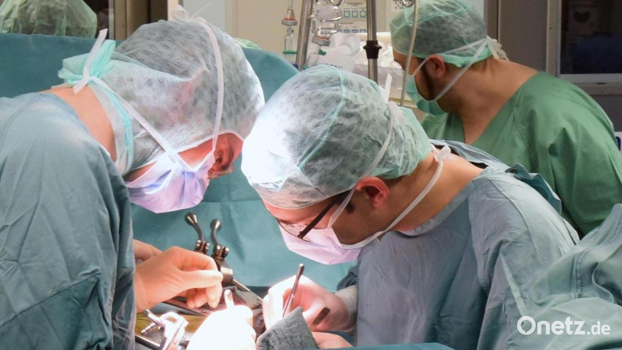 Next attempt at controversial new organ donation rules