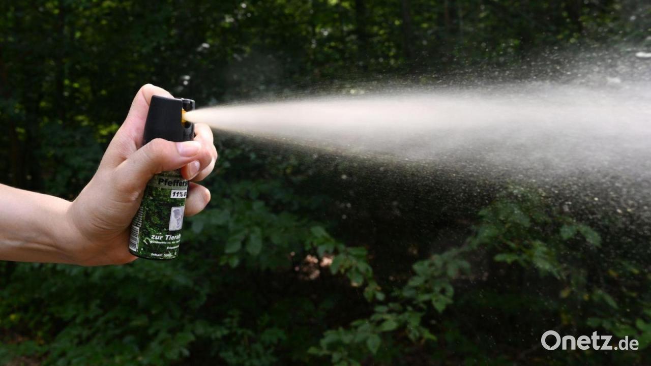 Mann sprüht Pfefferspray nach Streit um Hundehaltung