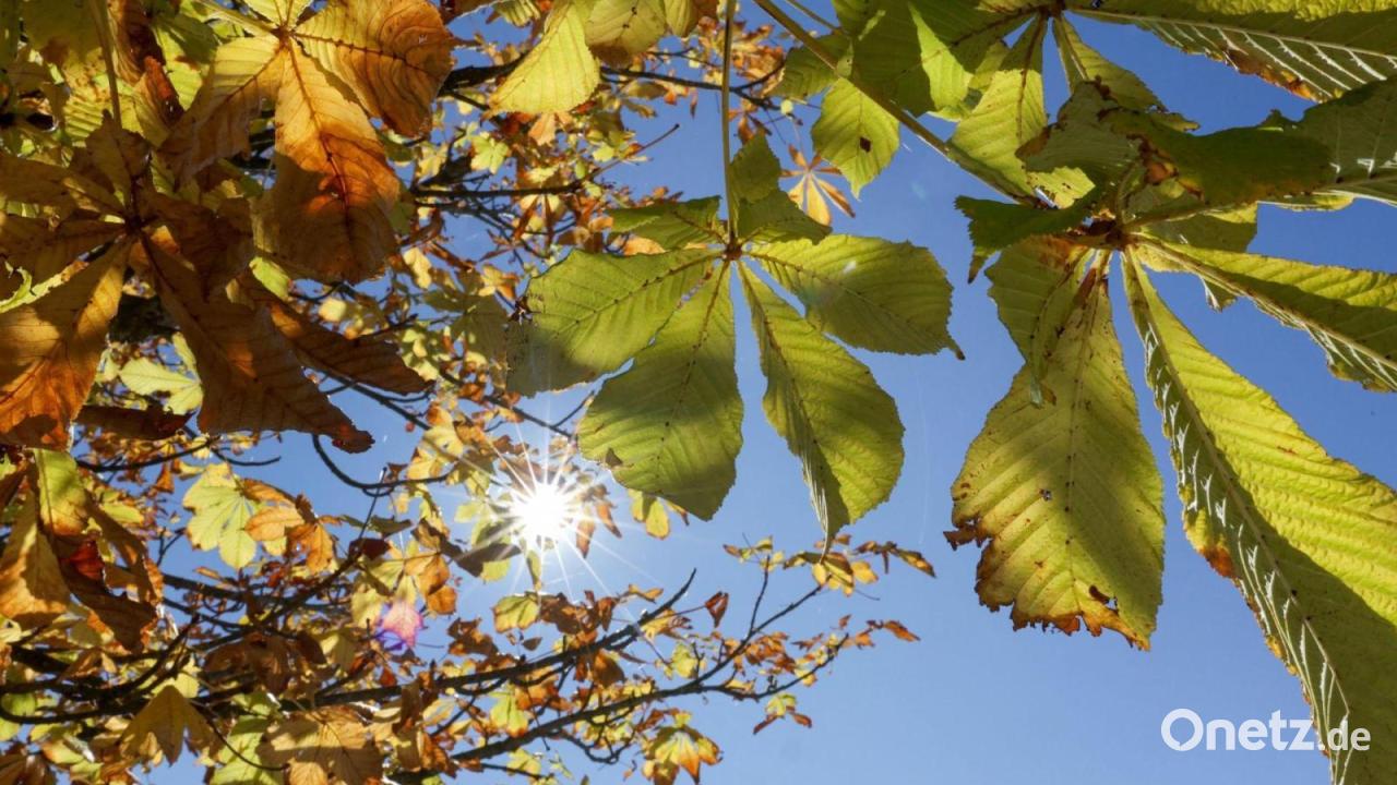 Sonnige Tage in Bayern – ab Donnerstag kommt Regen