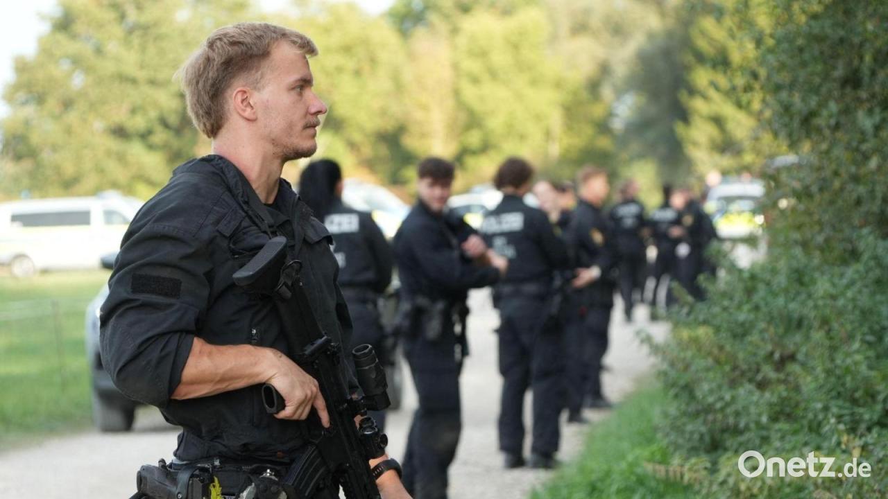Wärmebildkamera findet keine Spur von mutmaßlichem Puma