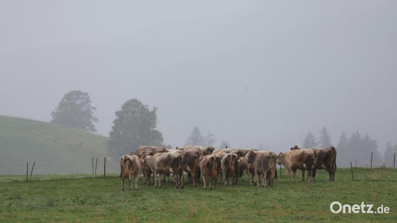 Wetterumschwung in Bayern: Herbst bringt Regen und Kälte