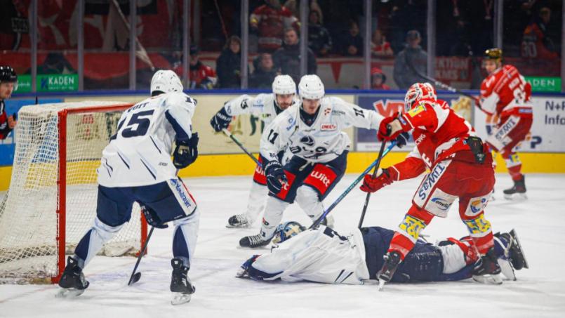 Bild: Tommy Valdivia Castro
Mit allem was er hat: Michael McNiven (liegend) begräbt den Puck in dieser Szene gegen die Eispiraten Crimmitschau spektakulär unter sich. Bei seiner Rückkehr aufs Eis reichte es trotz sehr guter Leistung der gesamten Mannschaft nicht für etwas Zählbares.