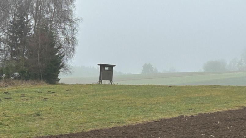 Bild: ck
Keine guten Aussichten für Jäger. Bei Nebel und milden Temperaturen macht sich das Wild rar.