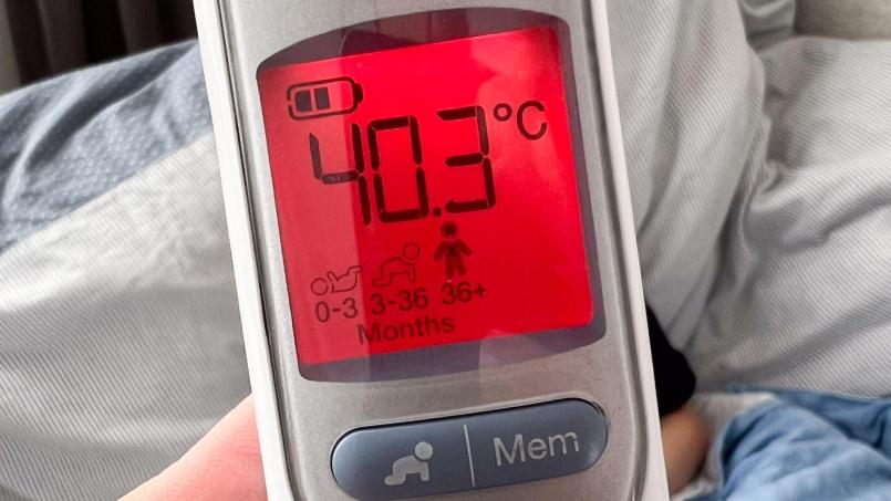 Symbolbild: Julian Stratenschulte/dpa
Ein Fieberthermometer misst erhöhte Temperaturen, ist aber nicht dafür vorgesehen, in den Backofen gelegt zu werden. Das musste nun auch ein Neunjähriger aus Schwandorf erfahren.