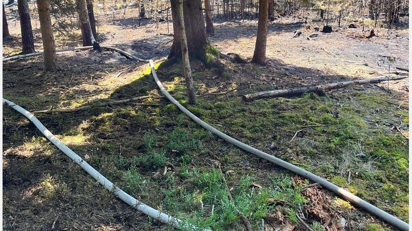 Bild: Kreisbrandinspektion Amberg-Sulzbach
Mehrere Glutnester im moorigen Waldboden mussten am Samstag abgelöscht werden.