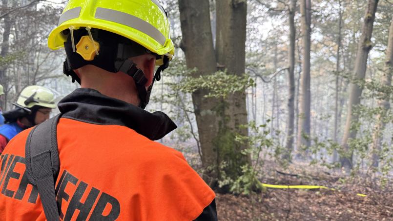 Bild: Heike Unger
Der Brand im Wald bei Freudenberg war am Samstagmittag so weit unter Kontrolle, dass sich das Feuer nicht weiter ausbreitete. Im Wald schwelt es jedoch weiter.