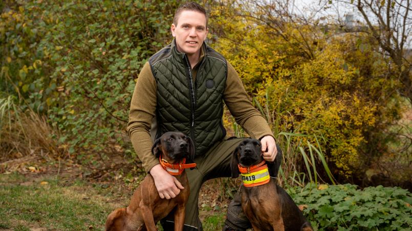 Bild: Franka Eichl
Sie sind im Einsatz, wenn ein verletztes Wildtier flüchtet: Simon Heiser und seine Hunde Dachs (links) und Kleo sind ein anerkanntes Nachsuchengespann im Landkreis Neustadt/WN.