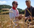 Biobauer Hubert Lautenschlager (r.) und Bäckermeister Michael Kredler begutachten den Dinkel „Oberkulmer Rotkorn“, den Lautenschlager in Heinzhof anbaut und Kredler für seine BioDinkel-Schiene verarbeitet.