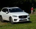 Mit seinem permanenten Allrad ist der XC60 für jedes Gelände gerüstet. Gleichwohl ist die Langstrecke seine wahre Domäne. Bild: bz