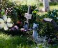 Bild: Clara Rechenberg/Tierheim Berlin/dpa/Symbolbild
Ein Tierfriedhof in Berlin.