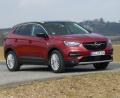 Der Grandland X von Opel mischt in der Klasse von Tiguan und Co. mit. Und da macht er wirklich keine schlechte Figur. 	Bild: bz