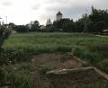 Eine Fläche im Schatten der Burg Dagestein am Ortseingang von Axtheid soll im Zuge des Projekts "Essbare Stadt" mit Obstbäumen und Beerensträuchern aufgewertet werden.	Bild: e