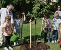Bild: Rohrwild, Herbert [OHR] (herbert-rohrwild@t-online.de)
Der Gartenbau – und Verschönerungsverein spendete zur Erinnerung an die Erstkommunion 2018 ein Apfelbäumchen. Pfarrer Heinrich Rosner (mit Gießkanne) „taufte“ mit den Drittklässlern im Beisein von Vorsitzendem Hubert Obermeier und Pfarrvikar Joseph Kokkoth (von rechts) den jungen Spross auf den Namen „Gerlinde“.