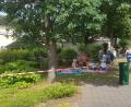 Bild: Hirsch
Weil in Bäumen Nester des Eichenprozessionsspinners entdeckt wurden, sind einige  Liegeflächen im Erlebnisbad abgesperrt.
